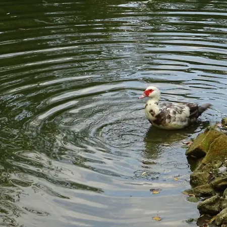 Ca' Vecchia Ξενοδοχείο Sasso Marconi