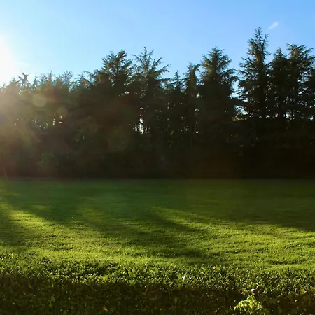 호텔 Ca' Vecchia 사소마르코니