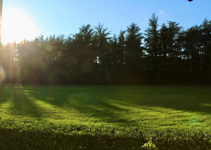 酒店 卡韦基亚酒店 萨索马可尼