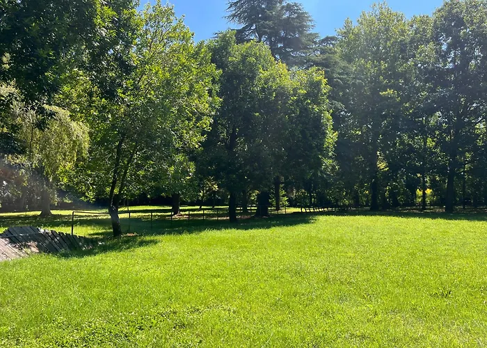 Ca' Vecchia 사소마르코니