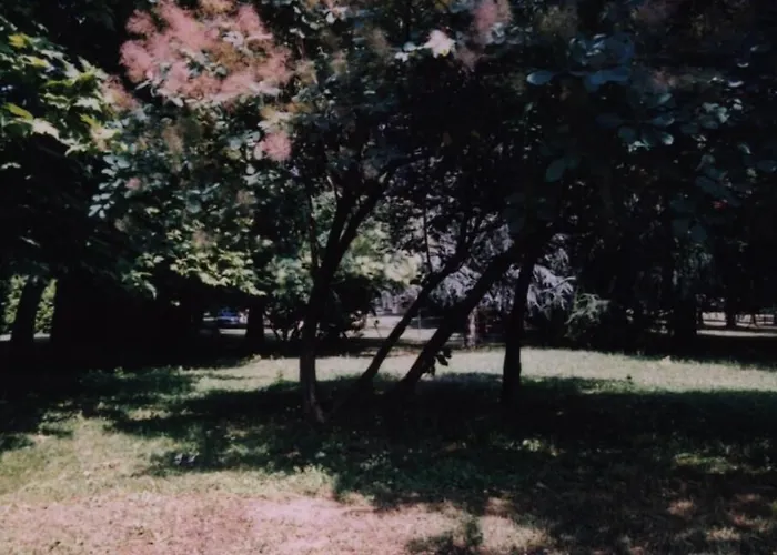 酒店 卡韦基亚酒店 3*