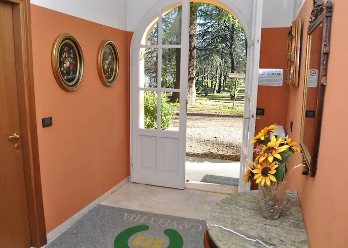 Ca' Vecchia 3* 사소마르코니